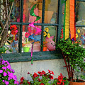 Colorful Window